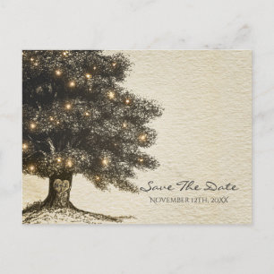 Carte Postale Faire-part Mariage Arbre Rustique Vintage & Lumières Enregist