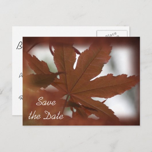 Carte Postale Faire-part Mariage de automne japonais Maple Leaf Enregistrer (Devant / Derrière)