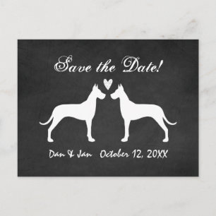 Carte Postale Faire-part Mariage de Grands Danois Enregistrer la Date
