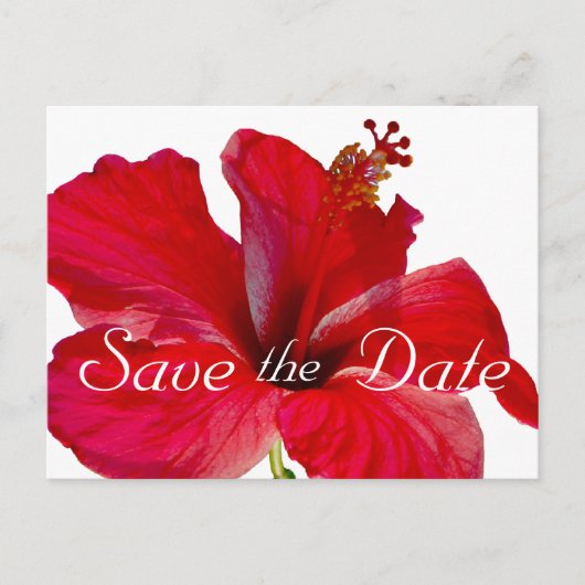 Carte Postale Faire-part Mariage d'Hibiscus tropical Enregistrer la date (Devant)