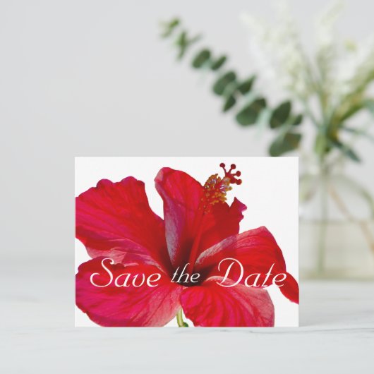 Carte Postale Faire-part Mariage d'Hibiscus tropical Enregistrer la date (Debout devant)