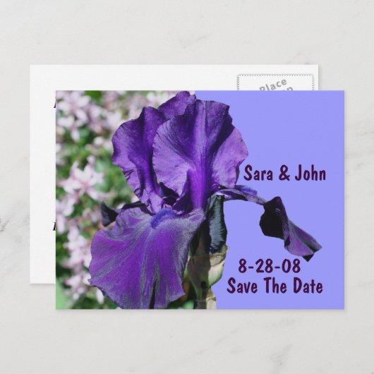 Carte Postale Faire-part Mariage Fleur Iris Violet Enregistrer La Date (Devant / Derrière)