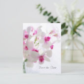 Carte Postale Faire-part Mariage. Orchidées blanches. Save the date (Debout devant)