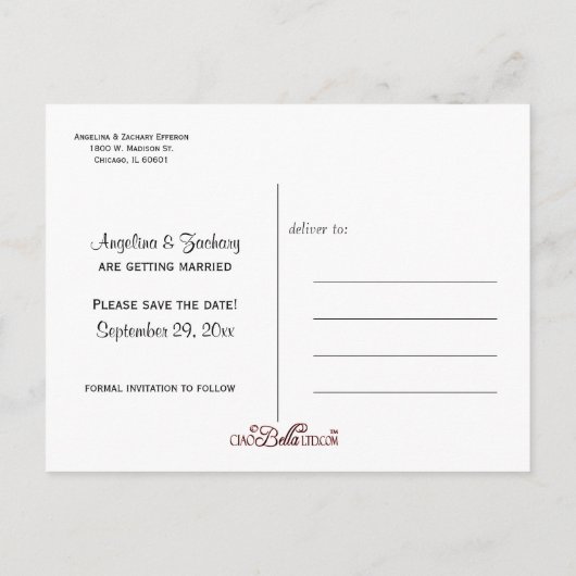 Carte Postale Faire-part Mariage Owl Bride Et Groom Enregistrer La Date (Dos)