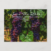 Carte Postale Faire-part mariage vigneron romantique aux raisins violets (Devant)