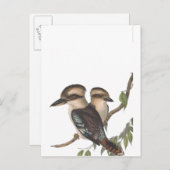 Carte Postale Faire-part Martin-chasseur géant d'Australie (Devant / Derrière)