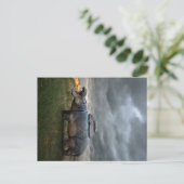 Carte Postale Faire-part Mère Hippopotame En Colère | Cadeau De Vacances (Debout devant)