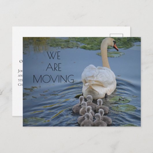 Carte Postale Faire-part Mère Swan Baby Cygnets Eau Changement d'adresse (Devant / Derrière)