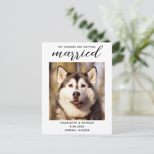 Carte Postale Faire-part Mes Humains Se Marient Chien, Sauf La Date (Debout devant)