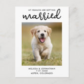 Carte Postale Faire-part Mes humains se marient Chien Sauvegarder la date (Devant)