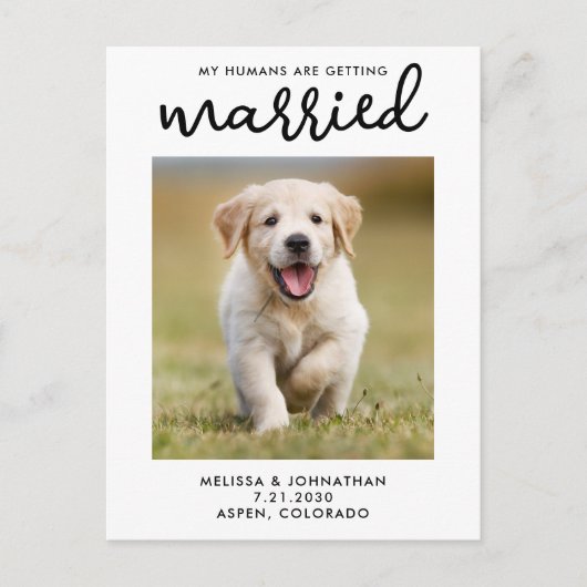 Carte Postale Faire-part Mes humains se marient Chien Sauvegarder la date (Devant)