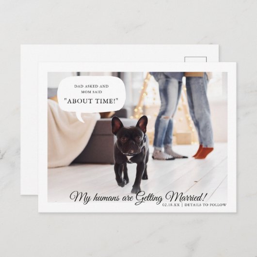 Carte Postale Faire-part Mes Humains Se Marient | FIANÇAILLES (Devant / Derrière)