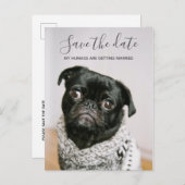 Carte Postale Faire-part Mes Humains Se Marier Chien Photo Enregistrer La D (Devant / Derrière)