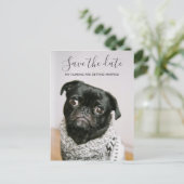 Carte Postale Faire-part Mes Humains Se Marier Chien Photo Enregistrer La D (Debout devant)