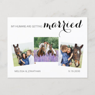 Carte Postale Faire-part Moderne 3 Photo Horse Mariage Animaux de Compagnie