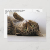 Carte Postale Faire-part Molly (Devant / Derrière)