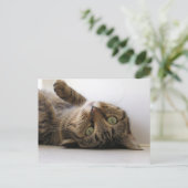 Carte Postale Faire-part Molly (Debout devant)