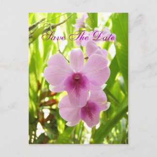 Carte Postale Faire-part Monde De Notre Propre Enregistrer La Date