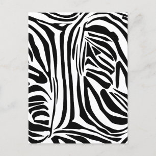 Carte Postale Faire-part Motif zèbre