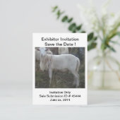 Carte Postale Faire-part Moutons de cheveux de Katahin (Debout devant)