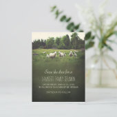 Carte Postale Faire-part Moutons sur le pâturage | Réunion familiale Enregi (Debout devant)