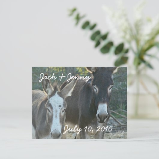 Carte Postale Faire-part Mules-enregistrez la date-personnaliser (Debout devant)