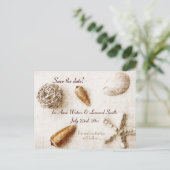 Carte Postale Faire-part murmure de l'océan - élégantes coquilles de mer sa (Debout devant)