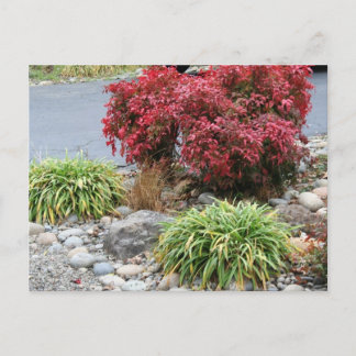 Carte Postale Faire-part Nandina et Agapanthus