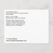 Carte Postale Faire-part Nandina et Agapanthus (Dos)