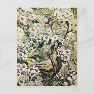 CARTE POSTALE FAIRE-PART NID D'OISEAU, ARBRE AUX FLEURS PRINTANIÈRES BRUN B