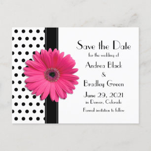 Carte Postale Faire-part Noir Pois Rose Daisy Mariage Enregistrer la date