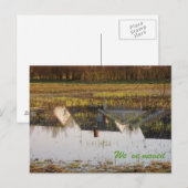 Carte Postale Faire-part Nous avons déménagé (Devant / Derrière)