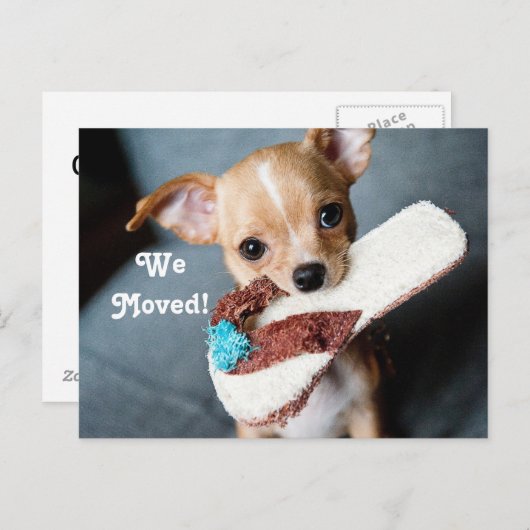 Carte Postale Faire-part Nous avons déménagé Chihuahua (Devant / Derrière)