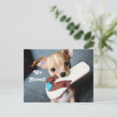 Carte Postale Faire-part Nous avons déménagé Chihuahua (Debout devant)