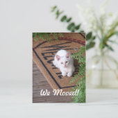 Carte Postale Faire-part Nous avons déménagé petit chat blanc (Debout devant)