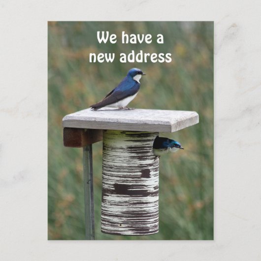 Carte Postale Faire-part Nous avons une nouvelle adresse (Devant)