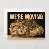 Carte Postale Faire-part Nous bougeons (Devant / Derrière)