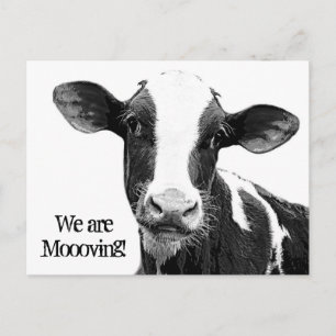 Carte Postale Faire-part Nous bougeons ! Changement d'adresse Vache