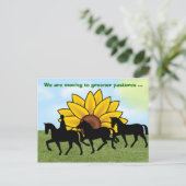 Carte Postale Faire-part Nous déménageons avec cheval & tournesol Nouvelle  (Debout devant)