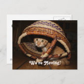 Carte Postale Faire-part Nous Déménageons Chat (Devant / Derrière)