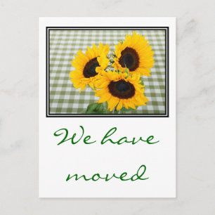 Carte Postale Faire-part Nous nous sommes déplacés avec la nouvelle adresse