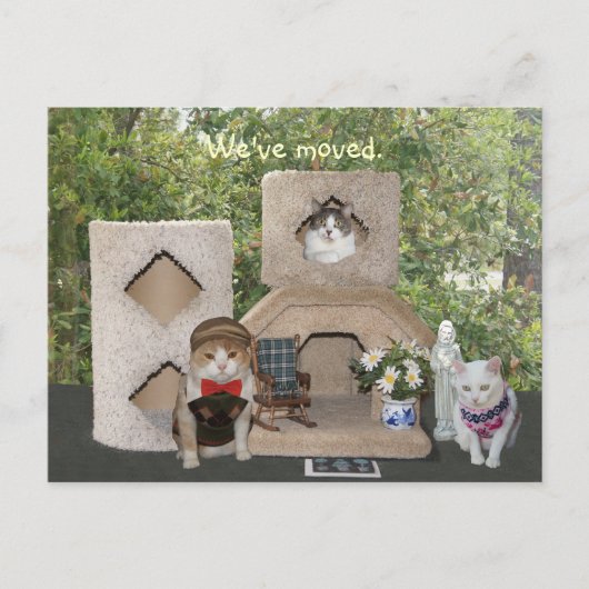 Carte Postale Faire-part Nous sommes passés à une plus grande maison (Devant)