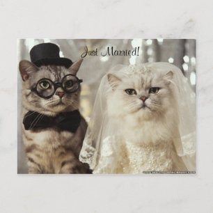 Carte Postale Faire-part Nous venons de le faire !