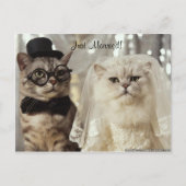 Carte Postale Faire-part Nous venons de le faire ! (Devant)