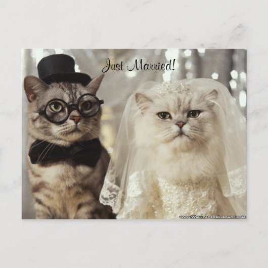 Carte Postale Faire-part Nous venons de le faire ! (Devant)