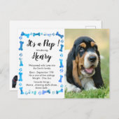 Carte Postale Faire-part Nouveau Chiot - Nouveau Animal - Chien Bleu Annive (Devant / Derrière)
