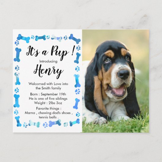 Carte Postale Faire-part Nouveau Chiot - Nouveau Animal - Chien Bleu Annive (Devant)