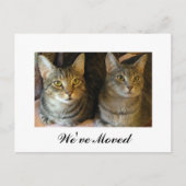 Carte Postale Faire-part Nouveau Home Cats Moving (Devant)