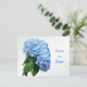 Carte Postale Faire-part Nouveau mariage Blue Hydrangea Enregistrer la date (Debout devant)