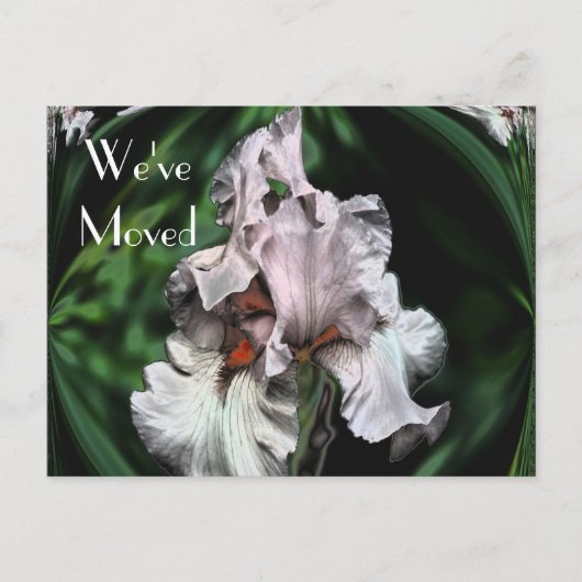 Carte Postale Faire-part Nouvelle adresse Abstraite Iris Flower (Devant)